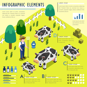 牧场乳牛养育信息图表设计