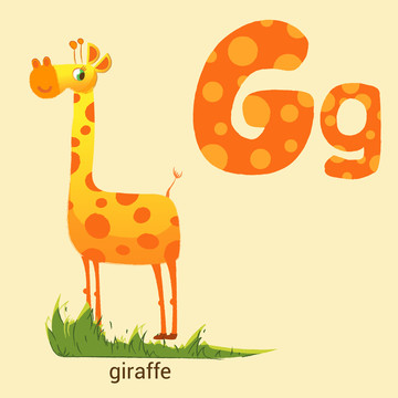 字母G与可爱长颈鹿儿童学习卡片
