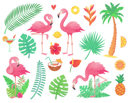 热带植物与可爱的红鹤插图集合