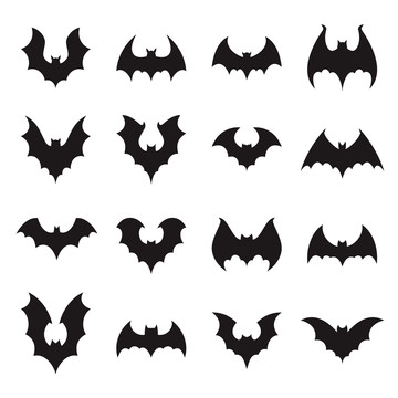 各种蝙蝠的剪影与影子集合