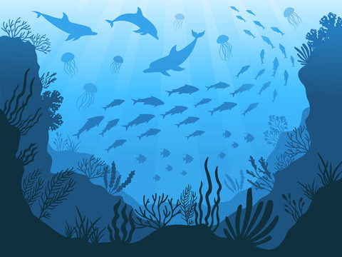 蓝色梦幻海底世界鱼群水母自在游插图