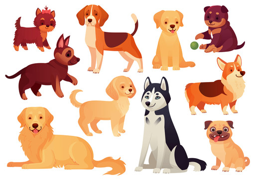 各种可爱的狗狗品种插图集合