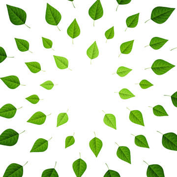 春天整齐圆形排列的绿叶插图