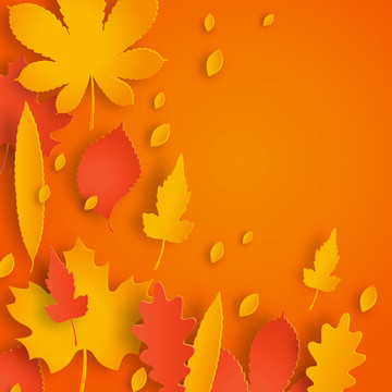 暖色层叠枫叶与蕨类植物叶子插图