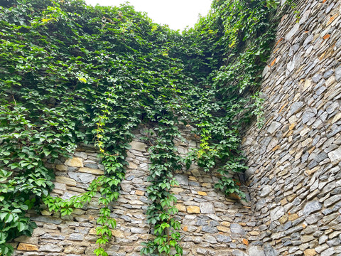 羌族石头墙