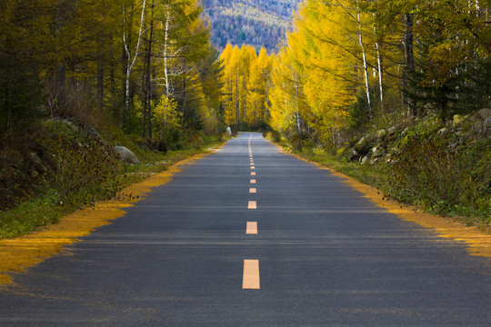 旅游公路