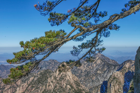 黄山始信峰