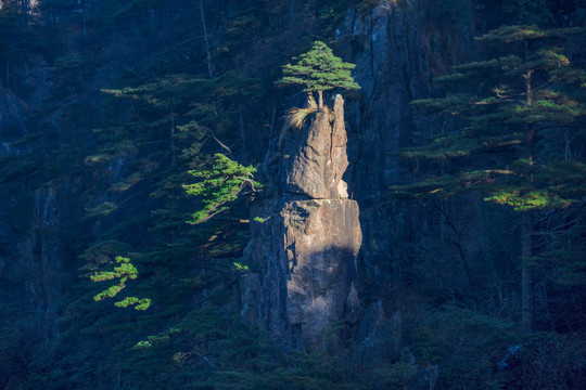 黄山梦笔生花