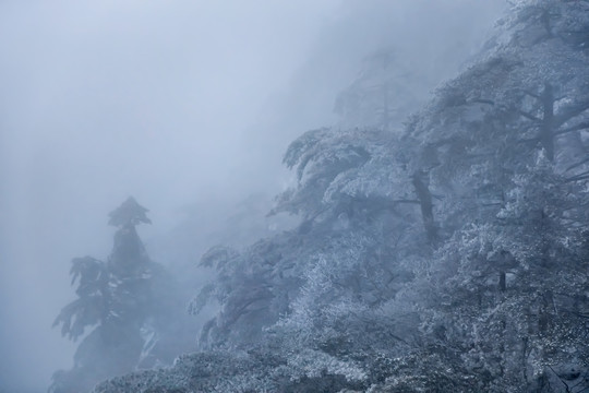 黄山梦笔生花