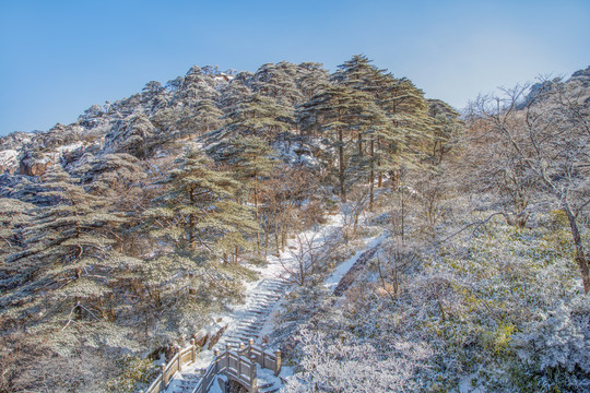 黄山