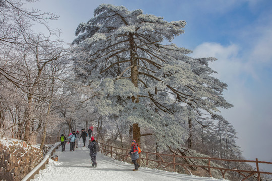 黄山