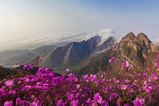 大连大黑山