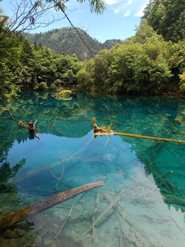 九寨沟山水风景清澈湖水