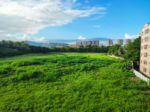 城市绿化