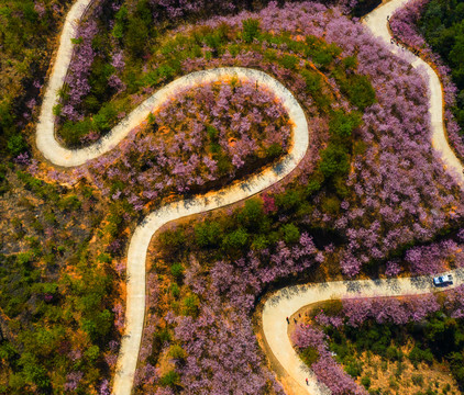 盘山路蜿蜒曲折的道路