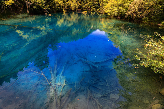 九寨沟的水