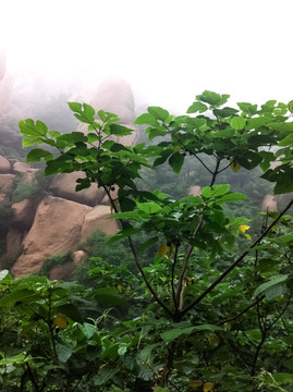 嵖岈山风景区