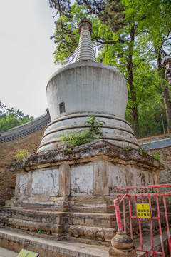 潭柘寺白塔