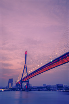 杨浦大桥夜景