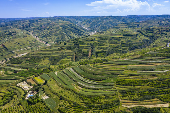 群山梯田