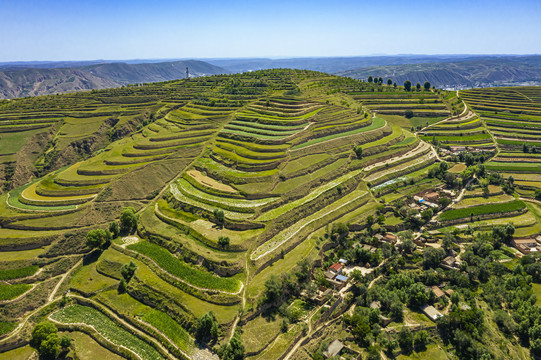 山坡丘陵梯田