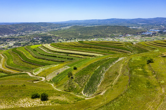 青山绿岭山田