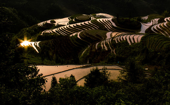 龙脊梯田