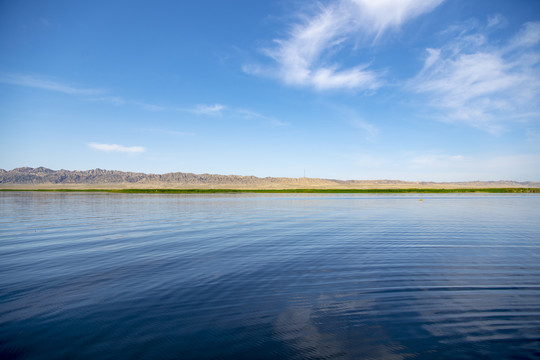 新疆库尔勒孔雀河