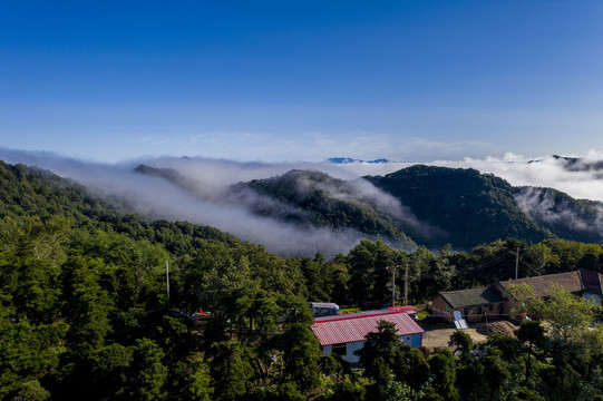 山顶云海