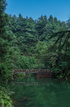 重庆大圆洞森林公园