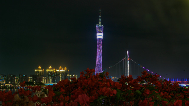 广州塔及猎德大桥夜景