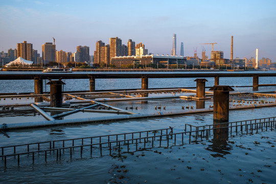 上海黄浦江滨江景观