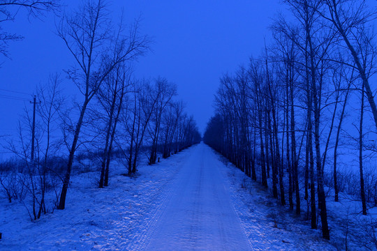 内蒙古冬季乡村道路雪景