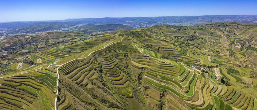 山岭梯田