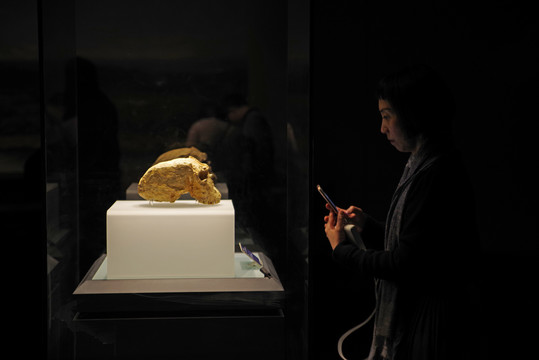 湖北省博物馆内的人类头骨