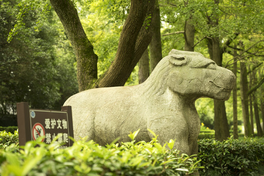 南京明孝陵石象路