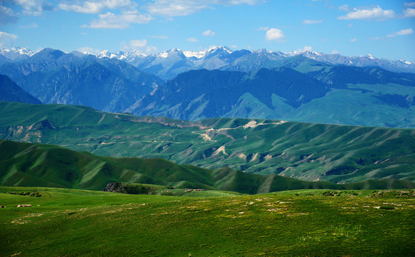 夏天新疆喀拉峻草原远眺天山群峰