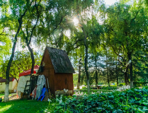 树林小屋