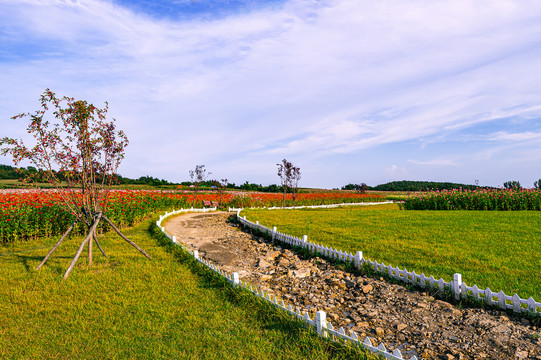 中国长春莲花山花海景观