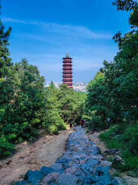 一条路的风景