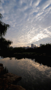 城市湿地朝霞的云彩