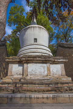 潭柘寺白塔