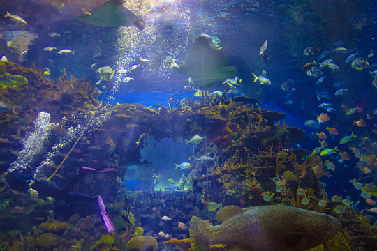 北京动物园海底世界