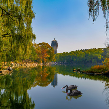 北京大学未名湖