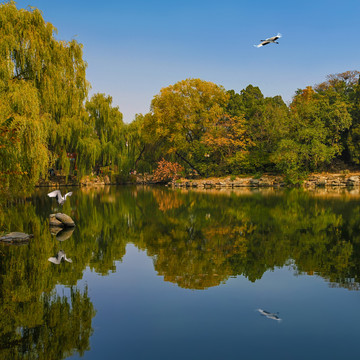 北京大学未名湖