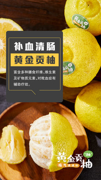 黄金贡柚海报