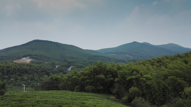 石塘竹海的山峰