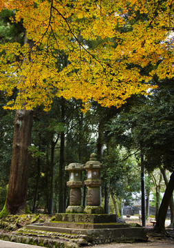 日本奈良风景