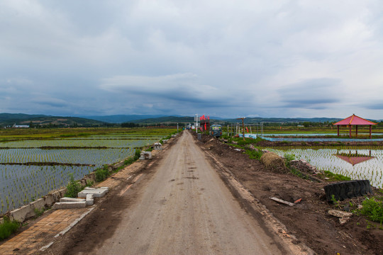 乡间小路