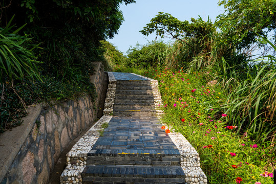 青砖台阶